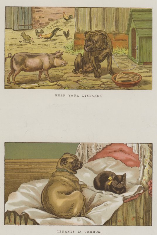 Humoristiske hunder (chromolitho) av S.T. Dadd