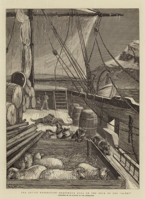 The Arctic Expedition, Esquimaux Dogs on the Deck of the Alert av Samuel Edmund Waller