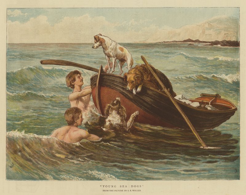 Unge sjøhunder (chromolitho) av Samuel Edmund Waller