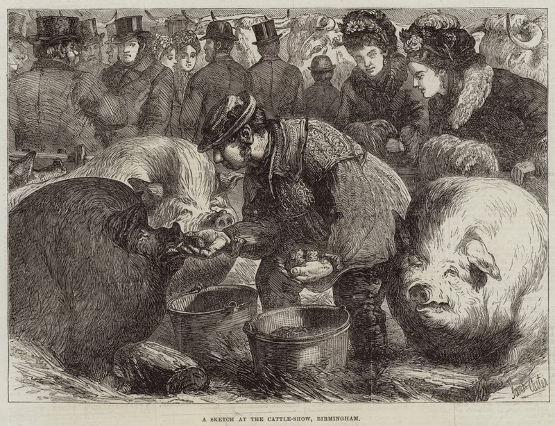 En skisse på Cattle-Show, Birmingham av Samuel John Carter