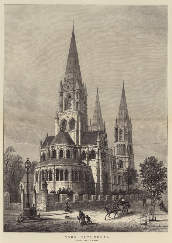 Cork katedral av Samuel Read