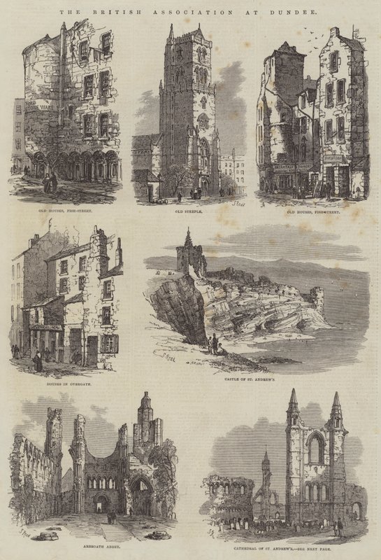 British Association i Dundee av Samuel Read