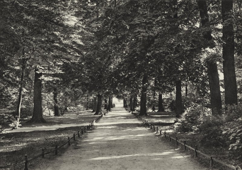 Berlin: Tiergarten (s/hvitt bilde) av Sasha Stone