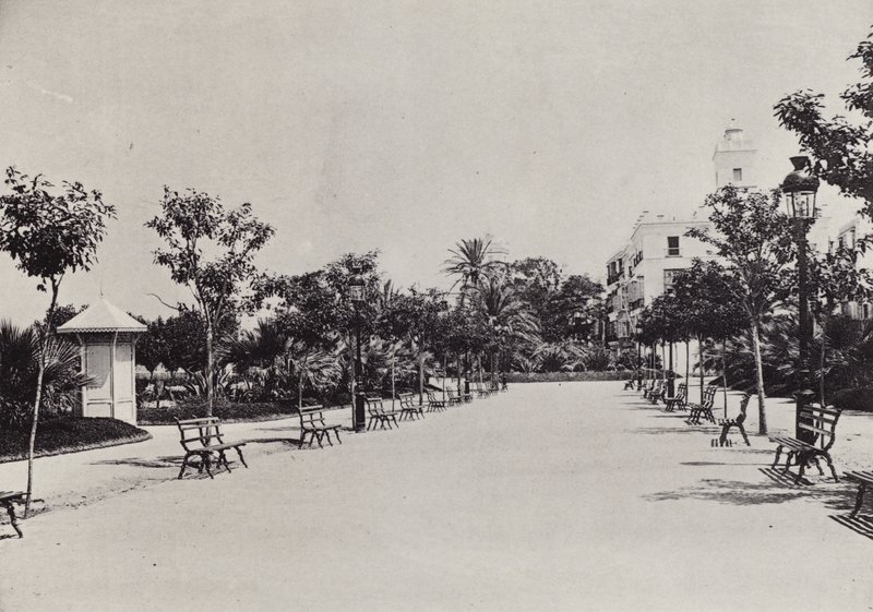 Cadiz: Alameda de Apodaca (s/hvitt bilde) av Spanish Photographer