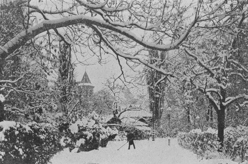 Neuchatel, The English Garden (s/hvitt bilde) av Swiss Photographer