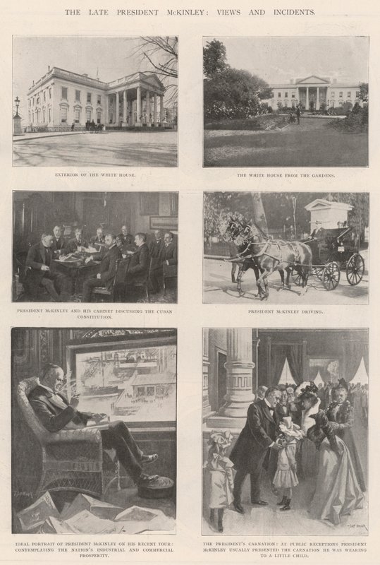 Avdøde president McKinley, synspunkter og hendelser av T. Dart Walker