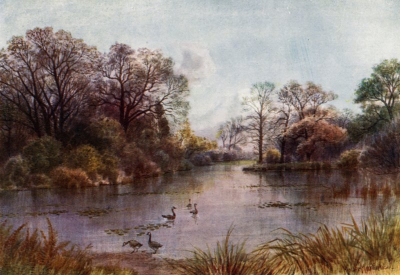 Kew Gardens: The Lake (farge litho) av Thomas Mower Martin
