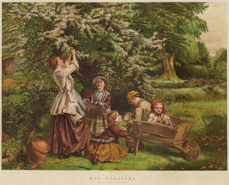 mai blomstrer (chromolitho) av Thomas P. Hall