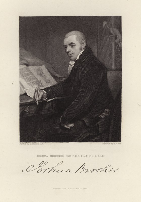 Joshua Brookes av Thomas Phillips
