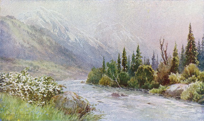 Tidlig morgen nær Pahalgam, Lidder Valley av Unbekannt Unbekannt