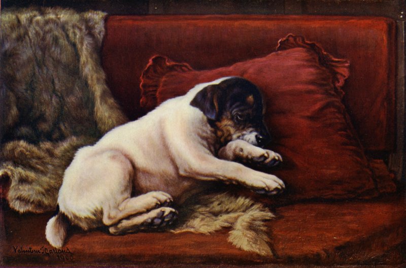 En ettermiddagssnooze (fargelitho) av Valentine Thomas Garland