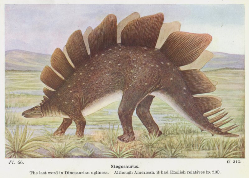 Stegosaurus (farge litho) av W. J. Stokoe
