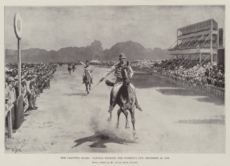 The Calcutta Races, Vanitas vinner Viceroy