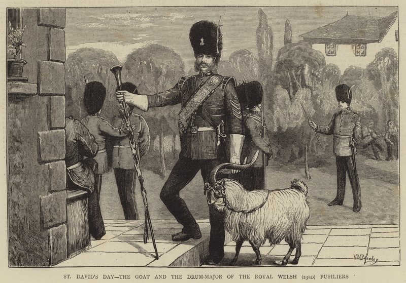 St. Davids dag, geiten og trommemajoren til Royal Welsh (23.) Fusiliers av William III Bromley