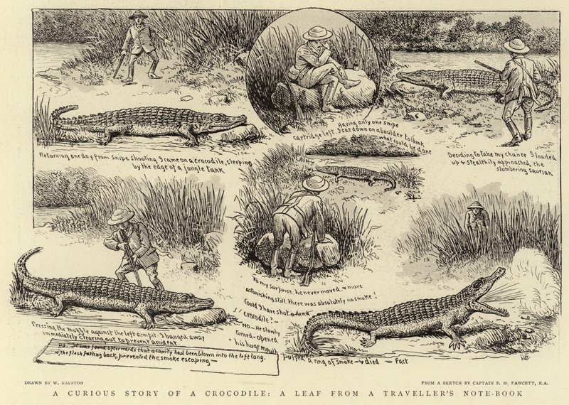En nysgjerrig historie om en krokodille, et blad fra en reisendes notatbok av William Ralston