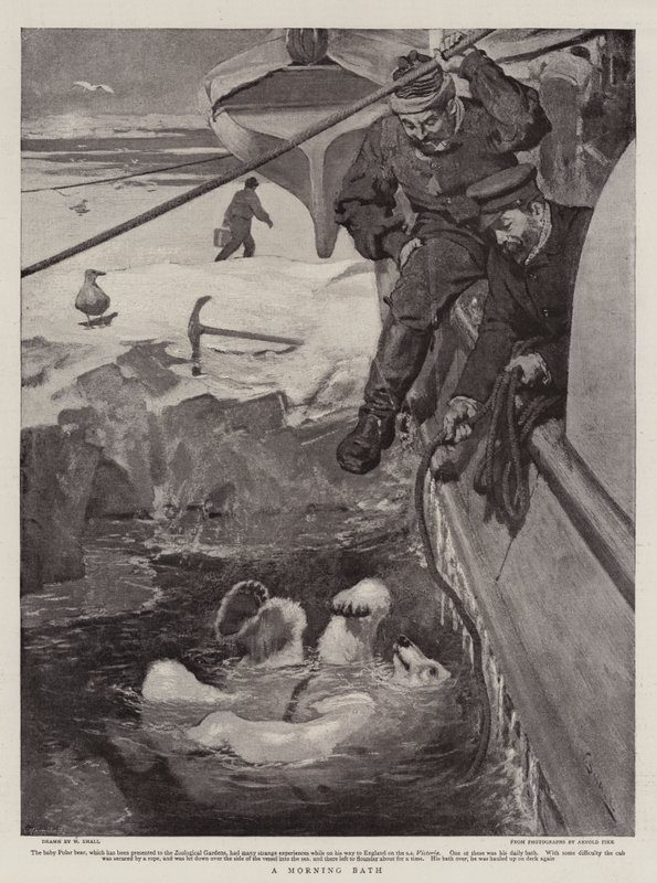 Et morgenbad av William Small
