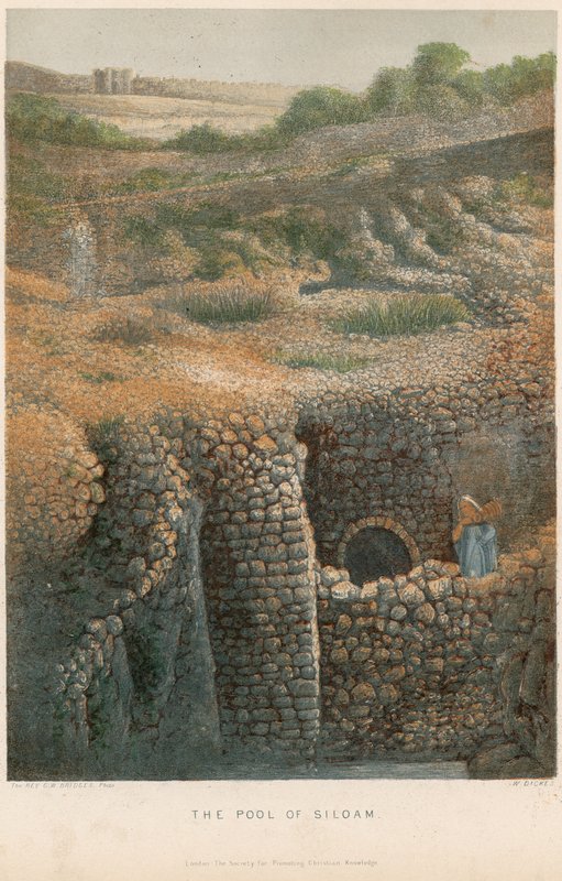 The Pool of Siloam av William Dickes