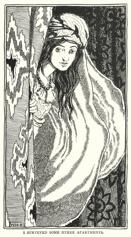 Jeg undersøkte noen andre leiligheter (gravering) av William Heath Robinson