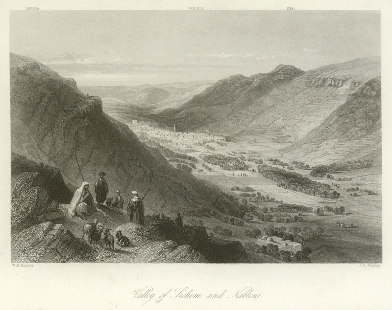 Sichem-dalen og Nablus, Palestina av William Henry Bartlett