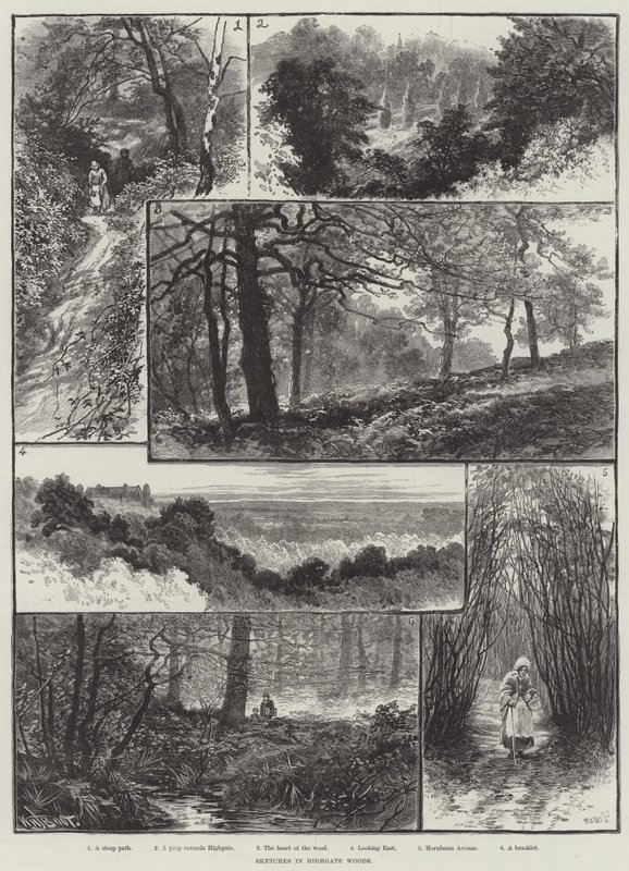 Skisser i Highgate Woods av William Henry James Boot