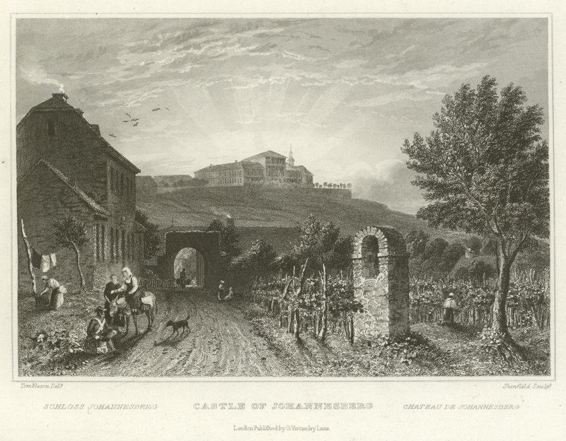 Slottet i Johannesburg av William Tombleson