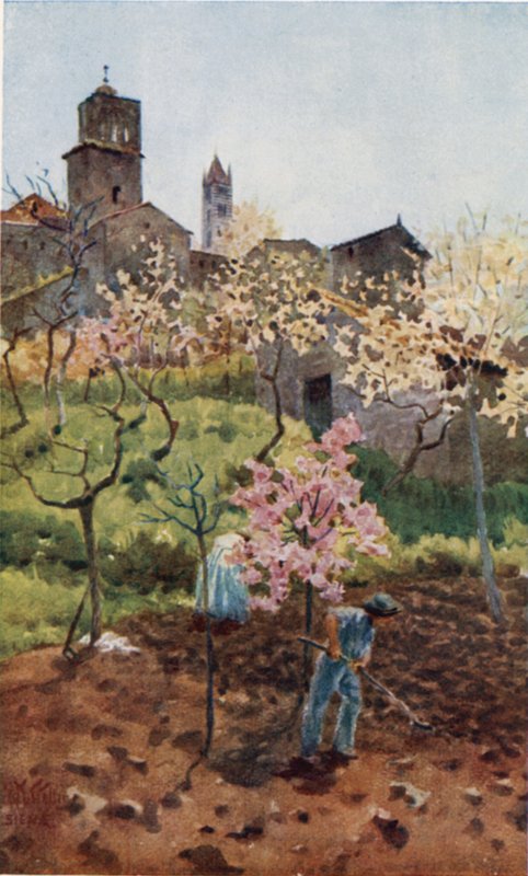 Siena. Under the Walls (farge litho) av William Wiehe Collins