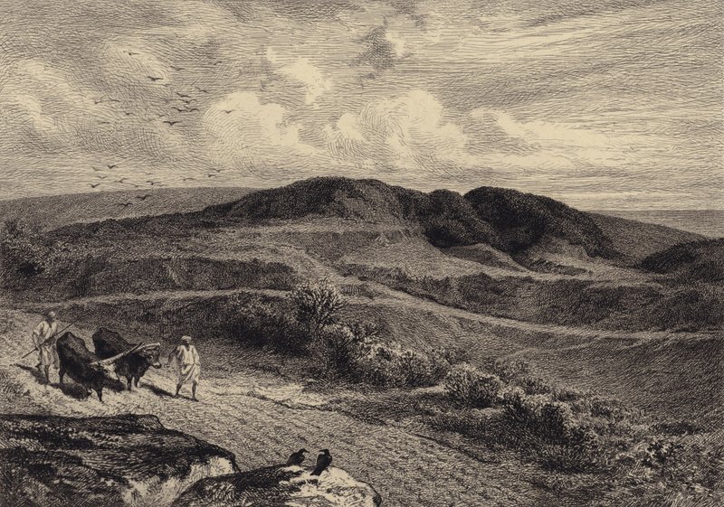 Lignelsen om såmannen av after Albert Robida