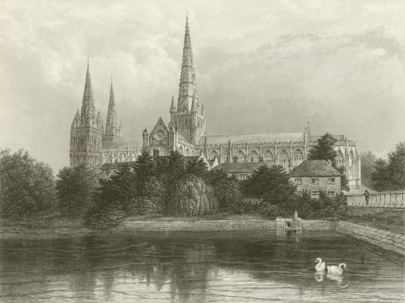 Lichfield katedral av Henry after Warren