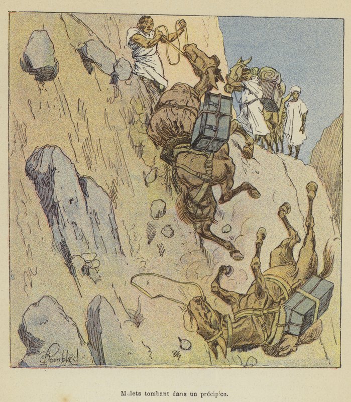 Muldyr som faller over et stup av after Louis Charles Bombled